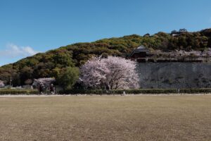 film locations in Japan