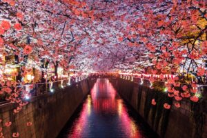 production coordinator in Japan