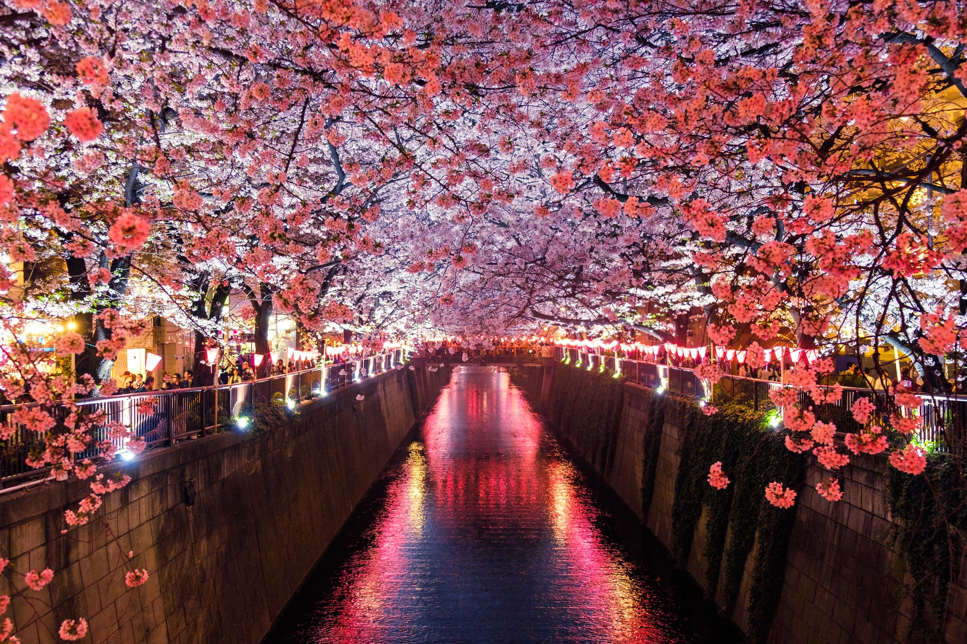 production coordinator in Japan