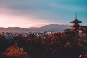film fixer in Japan